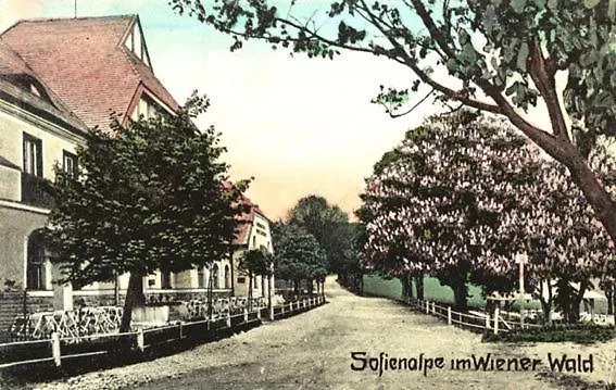 Hotel-Restaurant-Cafe Sophienalpe Wenen 3*,  Oostenrijk